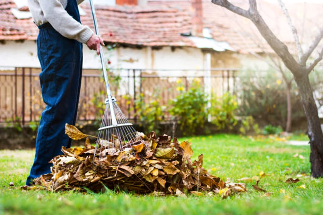 Curățenia de primăvară în curte este importantă / foto: IStock
