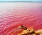 Las Salinas de Torrevieja, Spania  jpeg