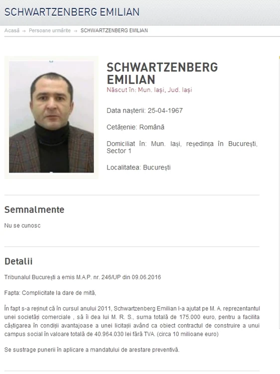 elan Schwartzenberg