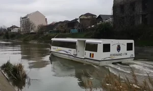 vaporas timisoara bega jpeg