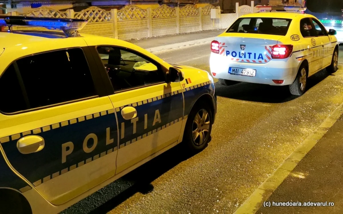 Polițiștii au intervenit pentru a aplana conflictul. Foto: ARHIVĂ. ADEVĂRUL.