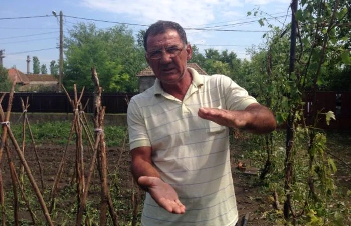 Grindina a distrus grădiinile şi terenurile agricole în comuna doljeană Galicea Mare