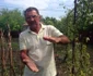 Grindina a distrus grădiinile şi terenurile agricole în comuna doljeană Galicea Mare