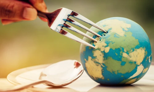 1 cea mai buna mancare din lume jpg jpeg