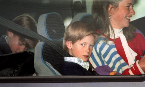 bona regala 0 profimedia 0708805501 jpg