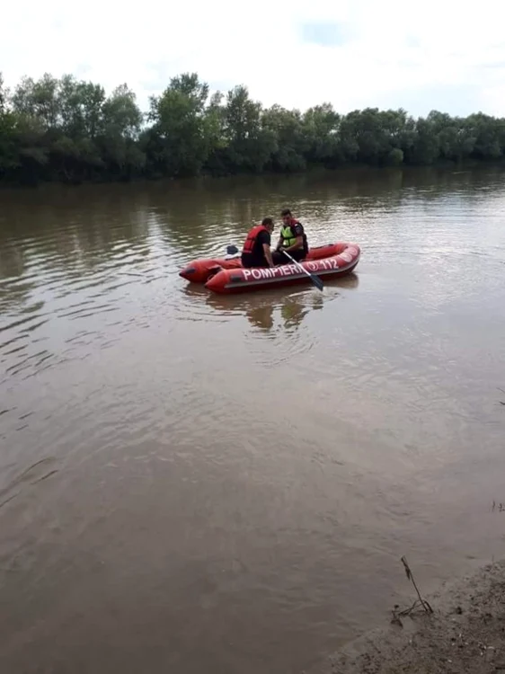 Pompierii au intervenit cu banca pneumatică - foto: ISU Someş Satu Mare