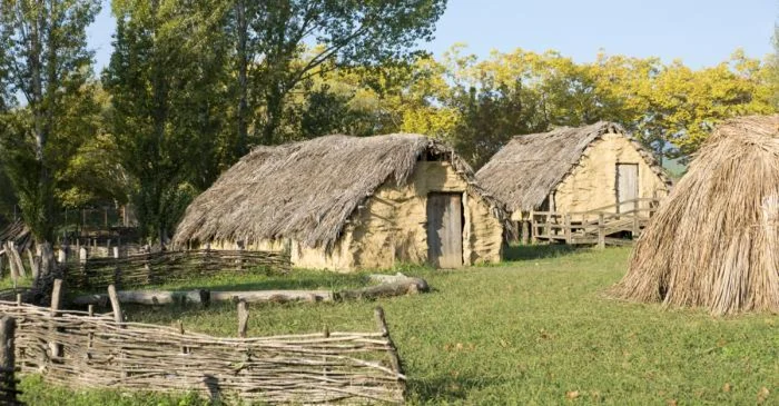 Parte a aşezării neolitice La Draga FOTO visitmuseum.gencat.cat