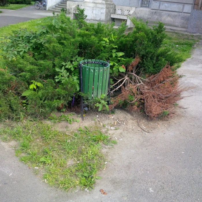 Cetăţenii au obligaţia să întreţină spaţiile verzi din apropierea locuinţelor FOTO arhivă