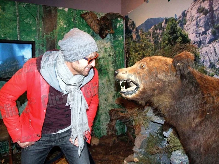 Actriţa a fost foarte încântată că a putut hrăni singură caii