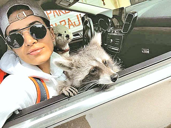 Adelina Pestrițu a dus ratonul la Grădina Zoologică
