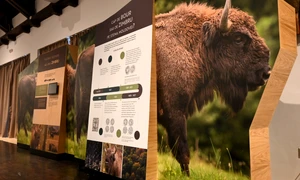 Centrul de Vizitare al Parcului Natural Vânători Neamț