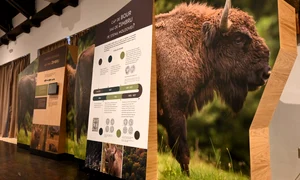 Centrul de Vizitare al Parcului Natural Vânători Neamț