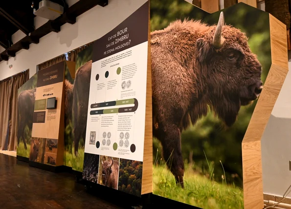 Centrul de Vizitare al Parcului Natural Vânători Neamț