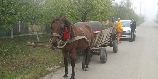 Victima dorea să ajungă cu faetonul de ocazie de la Stânca la Ştefăneşti 