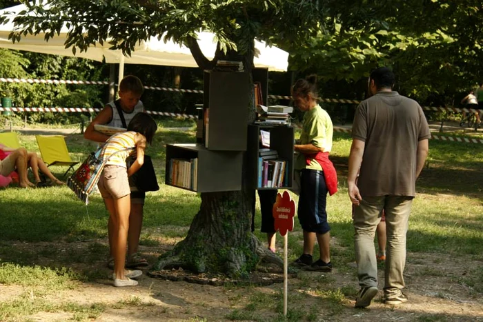 Copacul cu cărţi va rămâne în Cişmigiu până la 6 august