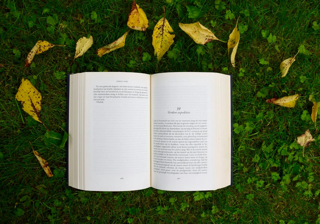 annelies geneyn bhBONc07WsI unsplash jpg