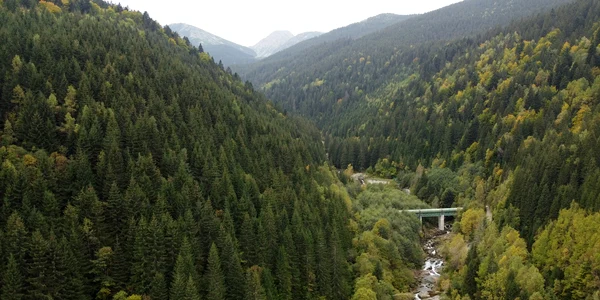 Cascada Lolaia si Valea Nucșoarei - Pietrele din Retezat.  Foto Daniel Guță  ADEVĂRUL (42) JPG
