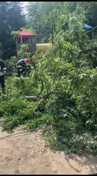 Un copil de 10 ani a fost rănit după ce un copac a căzut în zona unui loc de joacă, în Suceava | VIDEO