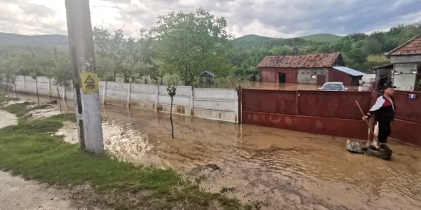 inundatii alba