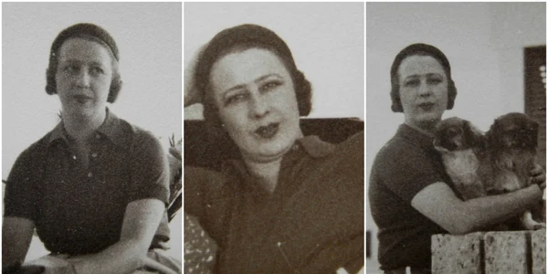 elena lupescu sursa