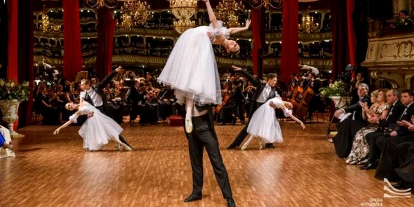 cluj anita artig balul operei. foto nicu cherciu/opera cluj
