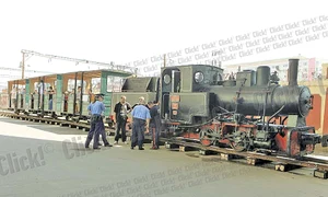 Elena, Iulia, Pavel şi Silvia  au fost foarte încântaţi de  călătoria cu Mocăniţa (Fotografii: Roberto Sălceanu) jpeg