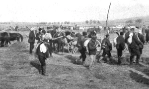 GettyImages 1942053089 jpeg