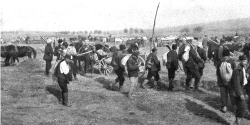 GettyImages 1942053089 jpeg