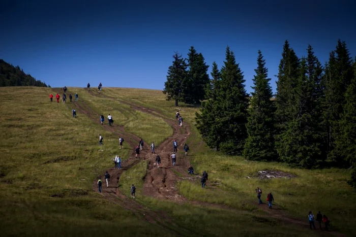 Fotografie realizată de Romulus Oprişcan la ediţia din 2014 a festivalului