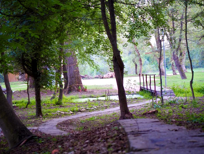 În „Parcul lui Ovidiu“ se află alei și chiar o punte Foto: Facebook/Fotografa_incognito