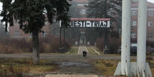 La Triaj aproape că-i mai uşor de ajuns cu trenul decât cu maşina