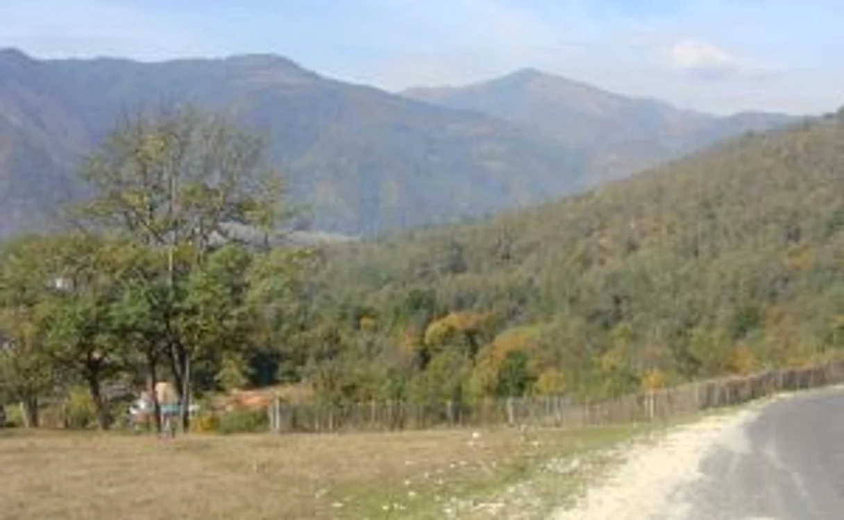 Padurea Valea Urii