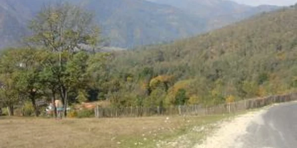 Padurea Valea Urii