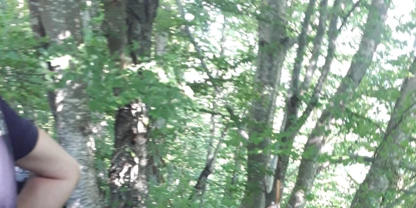Bărbat supraponderal căzut cu ATV-ul într-o prăpastie din Voineasa - Vâlcea Foto Adevărul
