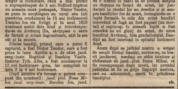 articol ziar banditi jpg