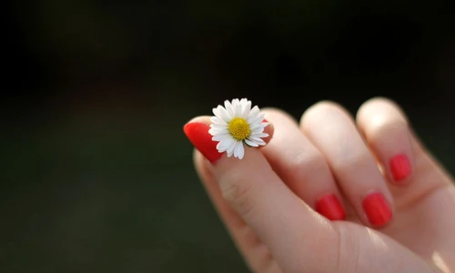 1 68747 original jpg jpeg