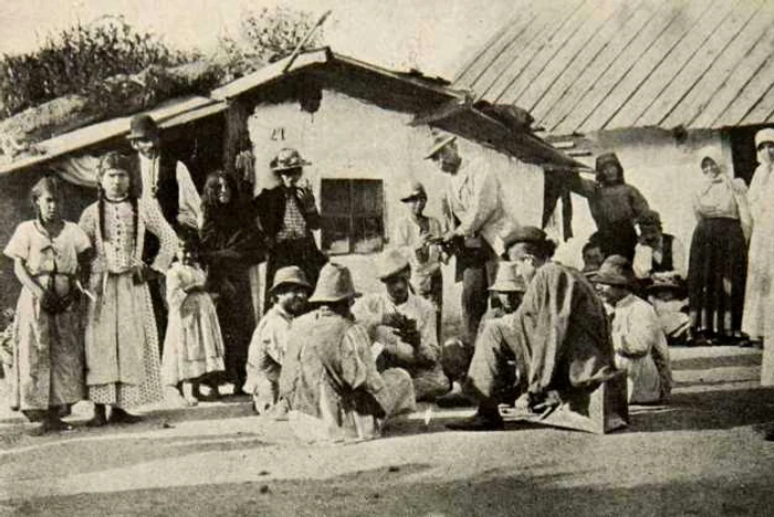 tiganii