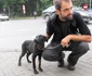 Timişorenii au protestat împotriva Legii eutanasiei Foto