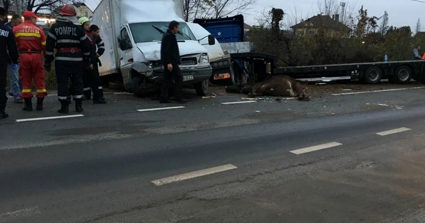 accident alba iulia