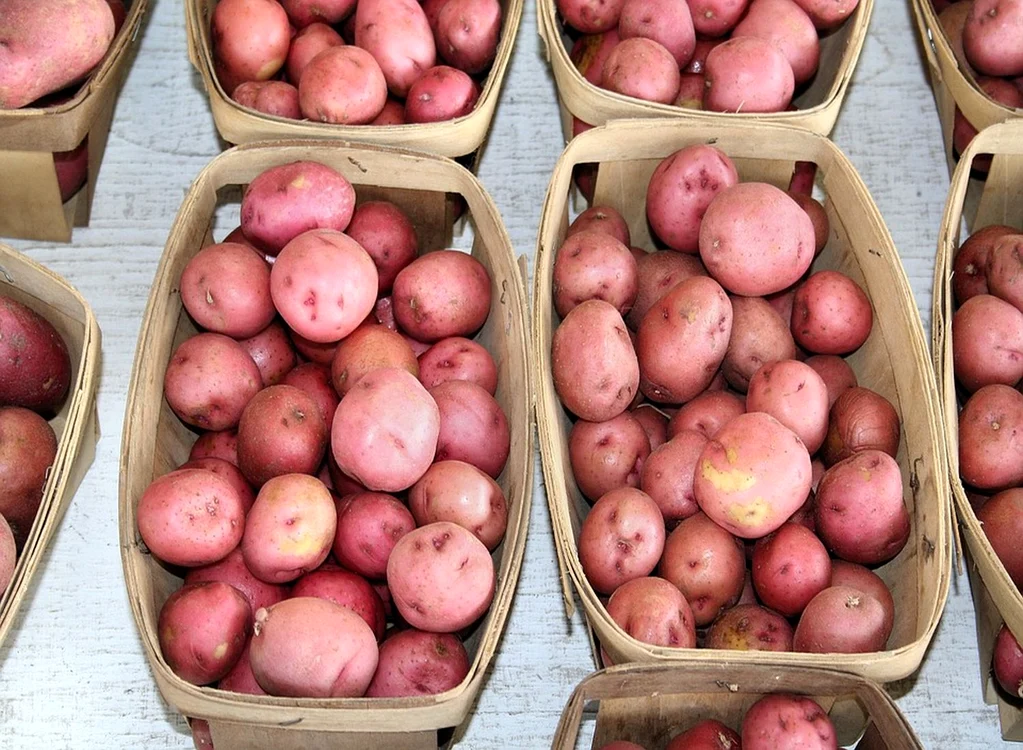1 potatoes jpg jpeg