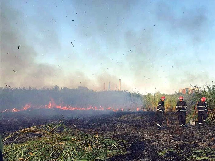 Lupta cu flăcările a durat  peste două ore şi a avut loc pe o căldură greu de suportat