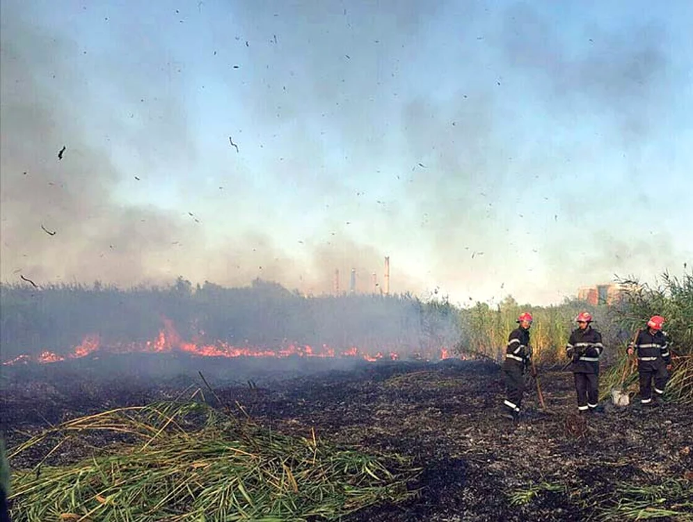 Lupta cu flăcările a durat peste două ore şi a avut loc pe o căldură greu de suportat