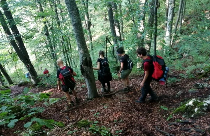 Cele trei turiste au fost coborâte în siguranţă de pe munte