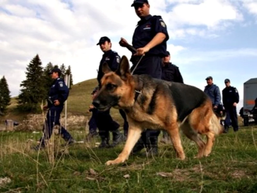 
    Poliţiştii au plecat în căutarea tinerei imediat după recepţionarea apeluluiFoto Mediafax  