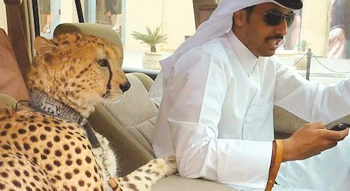 În Dubai, copiii bogătaşilor nu se sfiesc să arunce cu banii pentru a-şi satisface cele mai bizare capricii