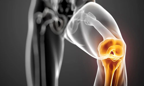 1 73562 original jpg jpeg