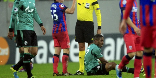 Steaua Bucureşti - Schalke - Liga Campionilor FOTO