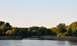 bega jpg