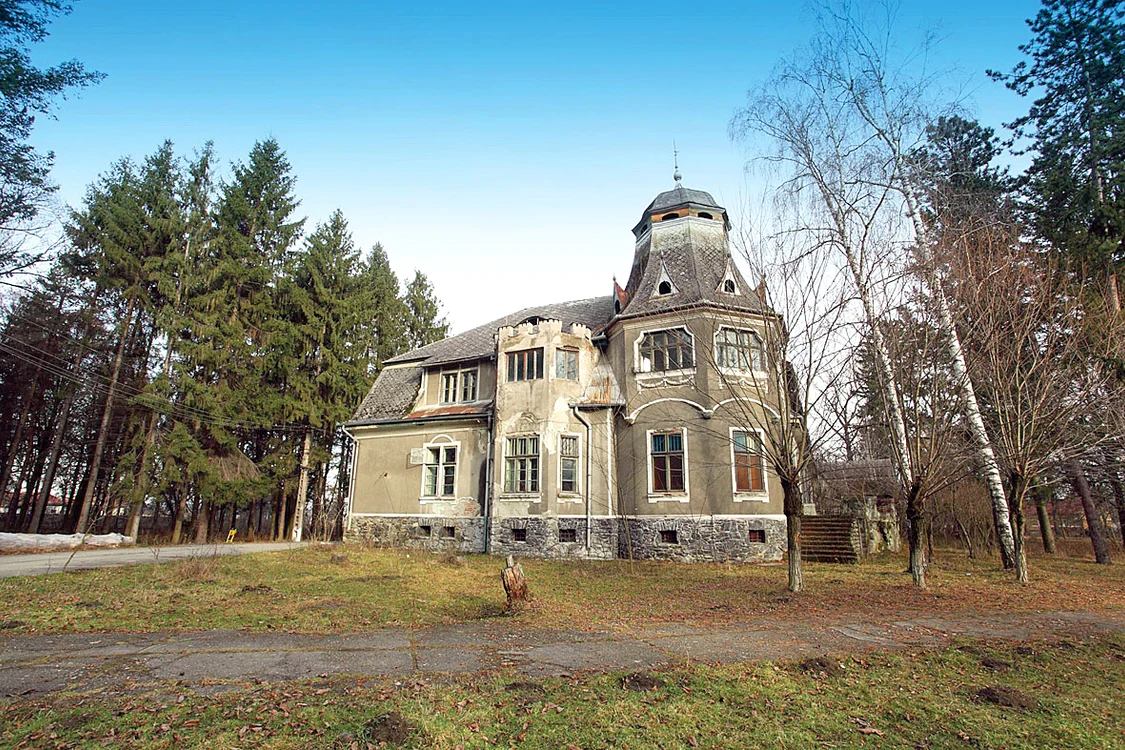 Castelul Pogany. Preţ de pornire: 500.000 de euro