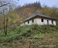 Muntii Orastiei Foto Daniel Guță  ADEVĂRUL (2) jpg